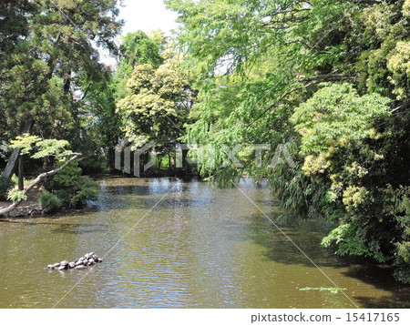 大宮冰川神社 大宮冰川神社 15417165