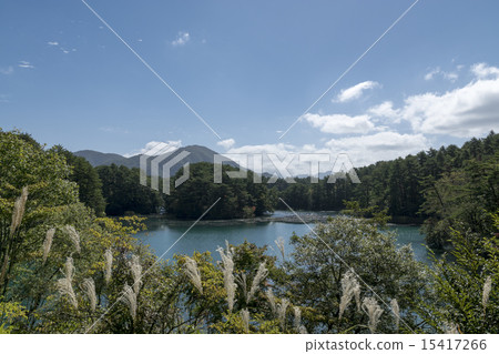 Ginzanuma Bishamon Swamp 15417266