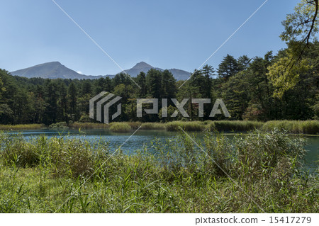 Gorikinuma Rurikinuma 15417279