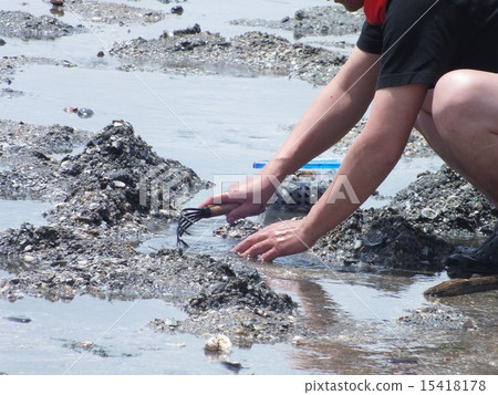 Clamming Clamming 15418178