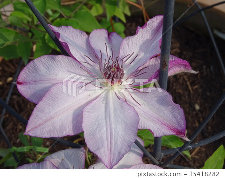 有趣 有趣 15418282