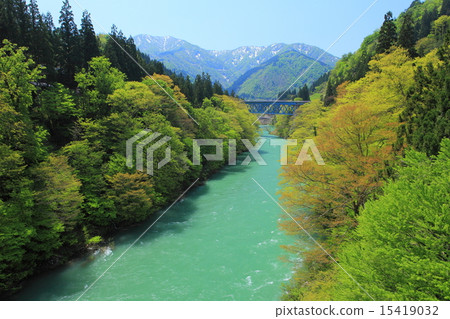 The fresh green of the jumping line The fresh green of the jumping line 15419032