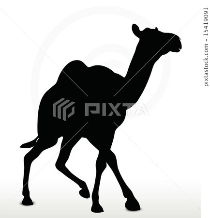 camel in Trotting pose 15419091