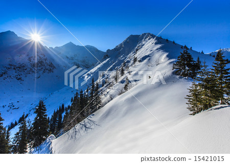 Negoiu peak in winter 15421015
