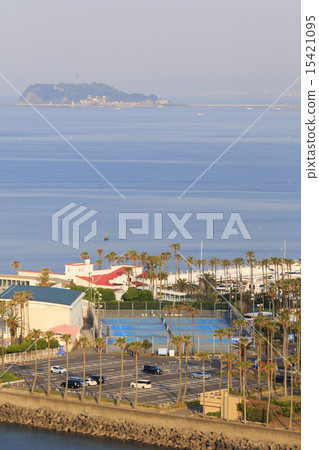 Zushi Marina morning 15421095