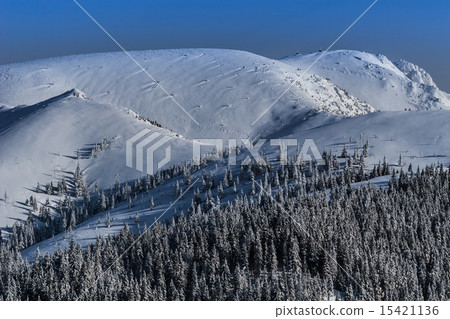 Winter landscape in the Carpathian mountains Winter landscape in the Carpathian mountains 15421136