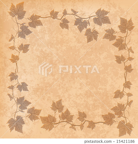 grunge illustration with grape leaves 15421186