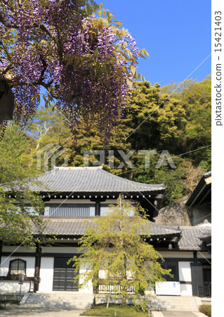 Spring of Hase-dera in Kamakura (after renewal) 15421403