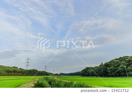 佐倉市的田園風光 15421712