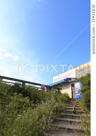 Minagasaki縣的初夏 Minagasaki縣的初夏 15421816