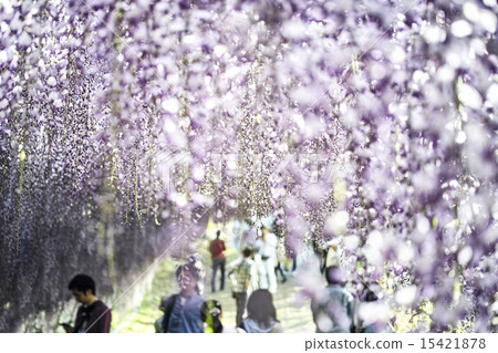 Kawachi Fuzen Kawachi Fuzen 15421878