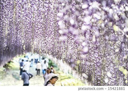 Kawachi Fuzen Kawachi Fuzen 15421881