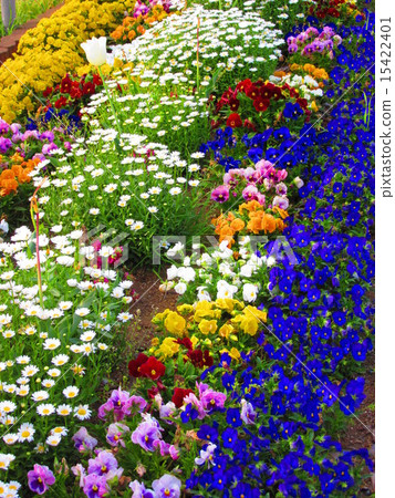 flower bed flower bed 15422401