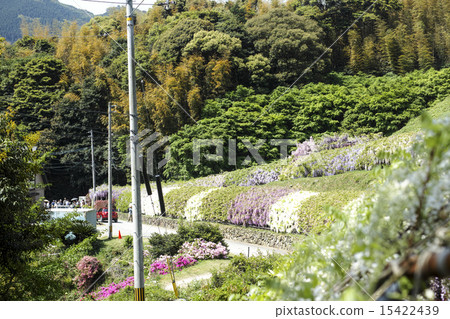 Kawachi Fuzen Kawachi Fuzen 15422439