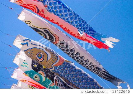 Carp streamer 15422646