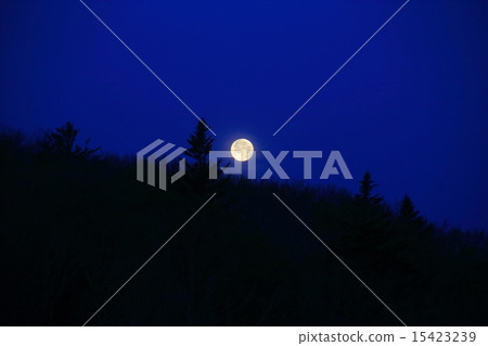 The full moon sinking in the ridgeline 15423239