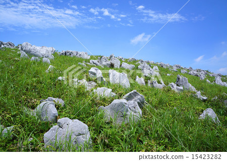 初夏的四國喀斯特 15423282