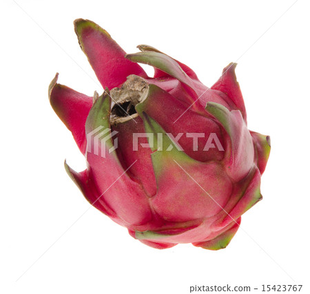 dragon fruit isolated on background dragon fruit isolated on background 15423767