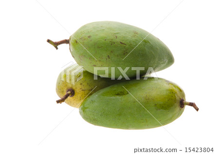 mango. green mango on white background mango. green mango on white background 15423804
