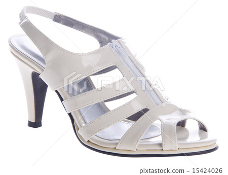 shoes, ladies shoes on background. shoes, ladies shoes on background. 15424026