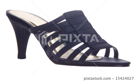 shoes, ladies shoes on background. shoes, ladies shoes on background. 15424027