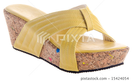 shoes, ladies shoes on background. shoes, ladies shoes on background. 15424054