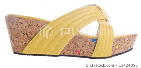shoes, ladies shoes on background. shoes, ladies shoes on background. 15424055