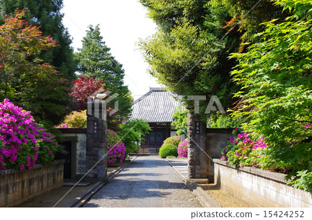 Nippori Yanaka Hoshuzan Extension Hospital 15424252