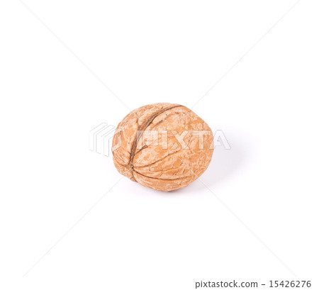 Single walnut 15426276