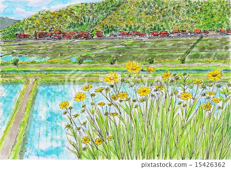 Golden chicken chicks Golden chicken chicks 15426362