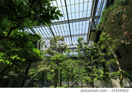 Indoor greening of greening center main building Indoor greening of greening center main building 15426402