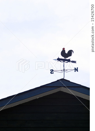 看天氣的雞（垂直位置/右） 15426700