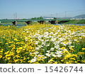 Flower garden 15426744