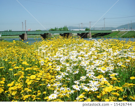 Flower garden Flower garden 15426744