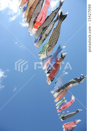 Carp streamer Carp streamer 15427099