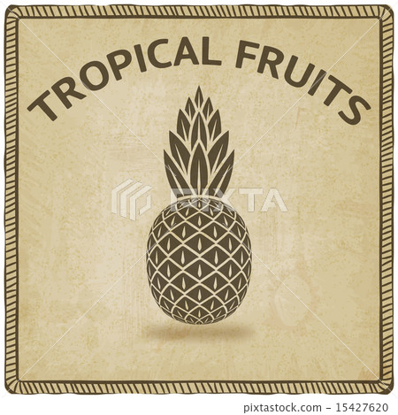 pineapple tropical fruit symbol 15427620