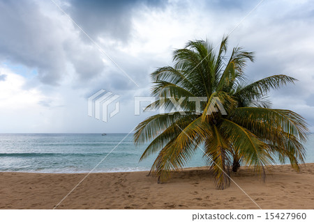 Beach on tropical island. Clear blue water, sand, palms. Beach on tropical island. Clear blue water, sand, palms. 15427960