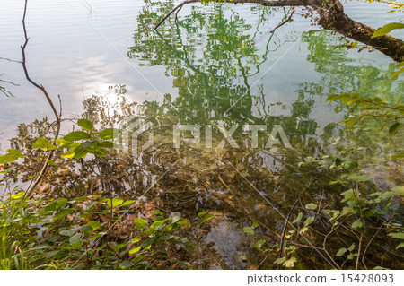 Plitvice lakes of Croatia  15428093