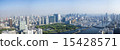 Tokyo Station Shiodome area Panorama aerial photograph 15428571