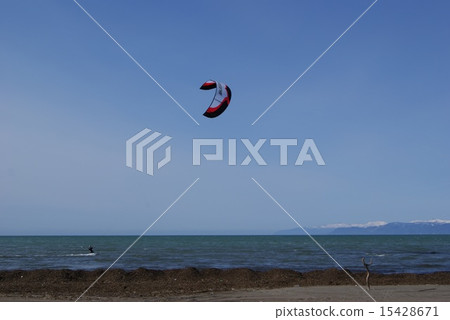 風箏寄宿 15428671