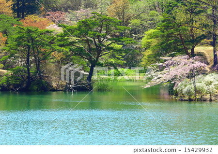 Hayamayama自然公園春季騷亂 15429932