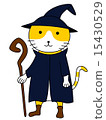 Cat (Wizard) 15430529