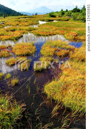 Wetland of Aizu Komagatake in early autumn and distant view of Mt. 15430891