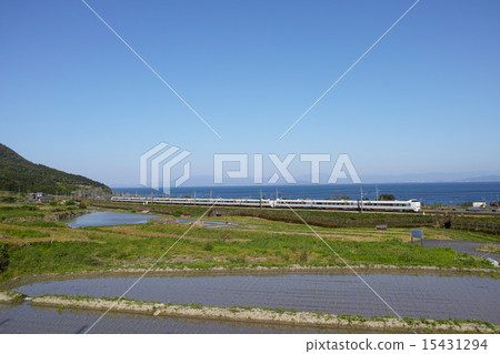 Limited express train rice paddy Thunderbird Limited express train rice paddy Thunderbird 15431294