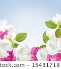 Pink and white roses 15431718