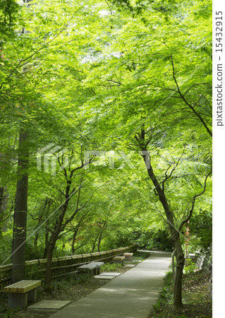 新鮮的綠色的寺廟 15432915