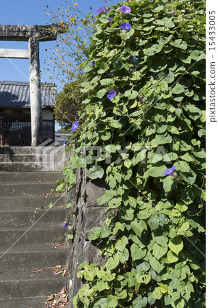 Ebisu Shrine Uchiko-machi 15433005