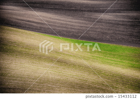 Grunge field waves background, South Moravia 15433112