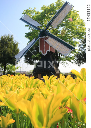 礪波鬱金香公園 礪波鬱金香公園 15435122