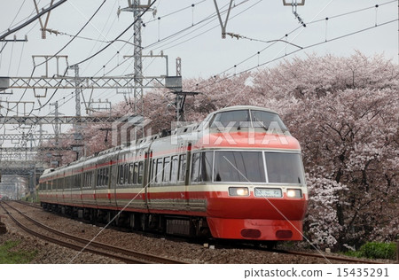 浪漫的汽車和櫻花 浪漫的汽車和櫻花 15435291
